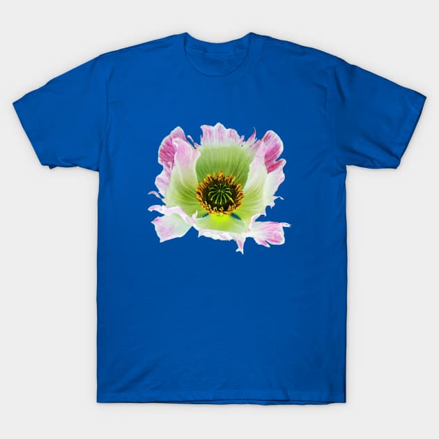 Papaver somniferum T-Shirt by Monka